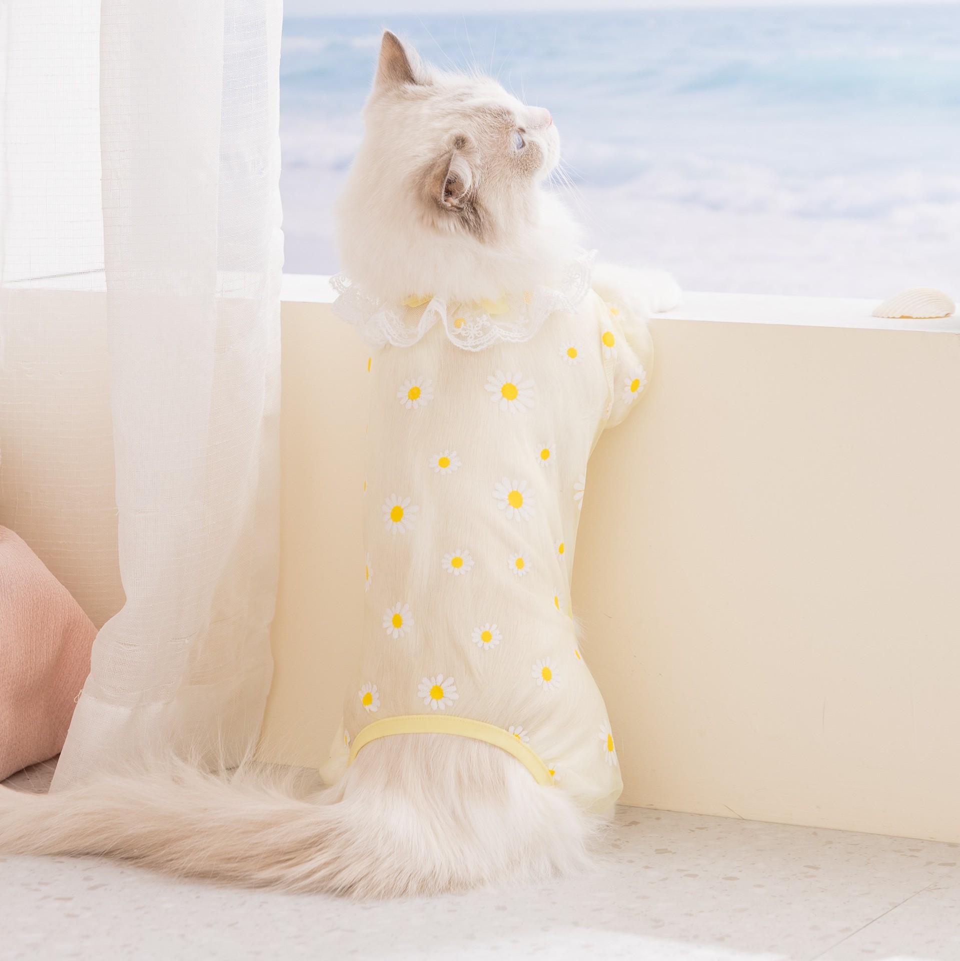 2 Stück Frühling/Sommer Mesh-H – Summer Clothing Wraps Bewertung und Preis