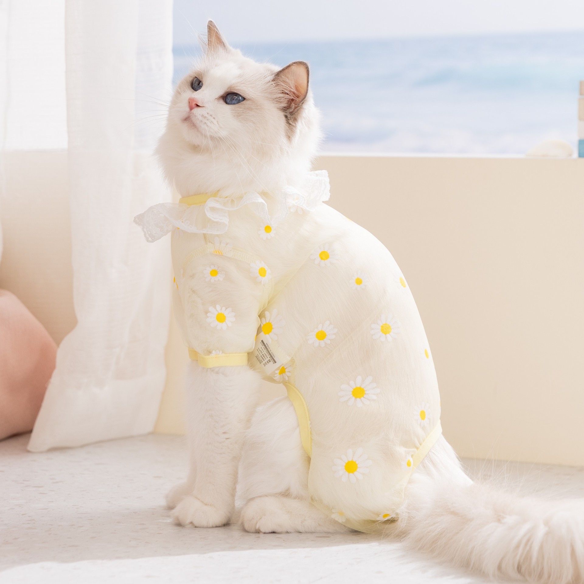 2 Stück Frühling/Sommer Mesh-H – Summer Clothing Wraps Bewertung und Preis